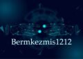 Bermkezmis1212