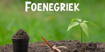 Foenegriek