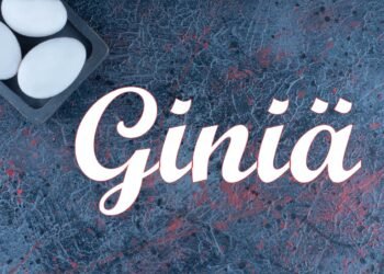 Giniä
