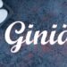 Giniä