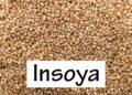 Insoya