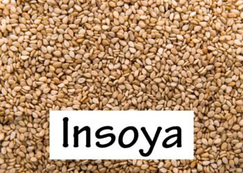 Insoya