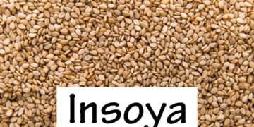 Insoya