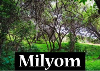 Milyom