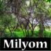 Milyom