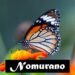 Nomurano