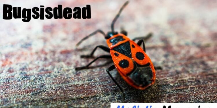 Bugsisdead