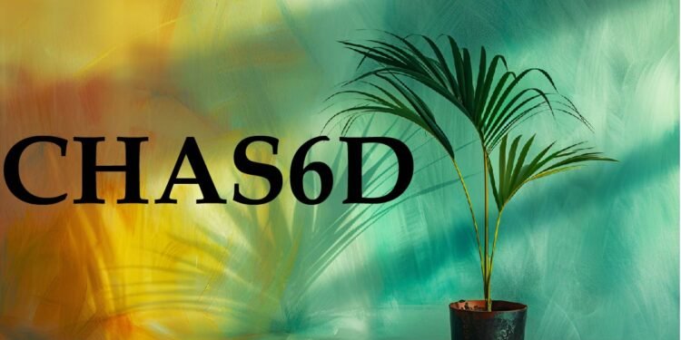 CHAS6D