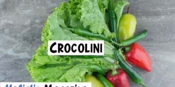 Crocolini
