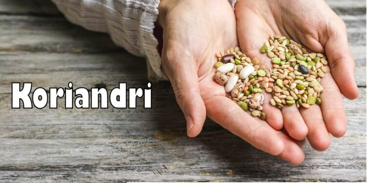 Koriandri
