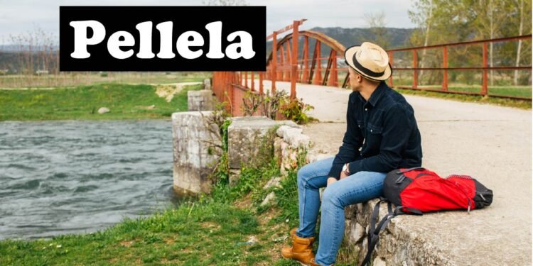 Pellela
