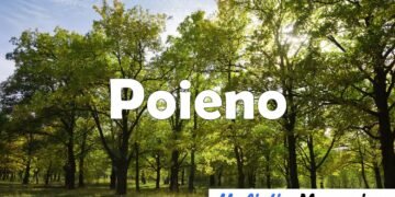 Poieno