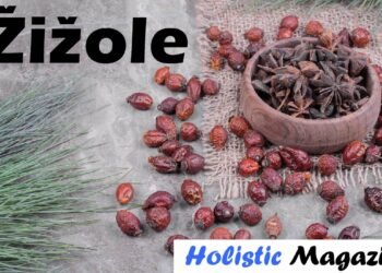 Žižole