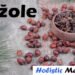 Žižole