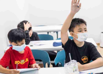 Why Primary 5 English Tuition Matters: A Practical Guide for Parents