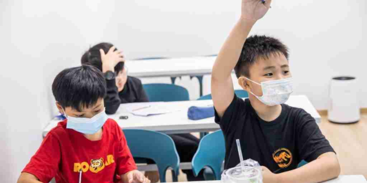 Why Primary 5 English Tuition Matters: A Practical Guide for Parents