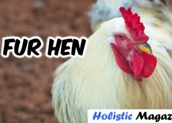 fur hen