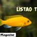 Listao tuna
